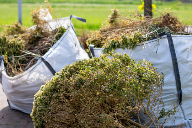 Best Yard Cleanup Services  in Centreville, MS